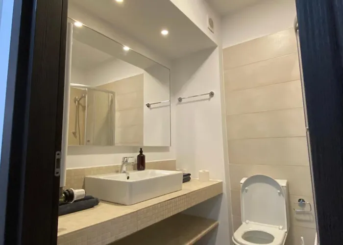 Butterfly Politehnica Bucureşti