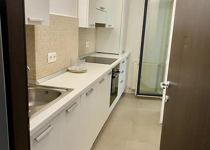 Butterfly Politehnica * Бухарест