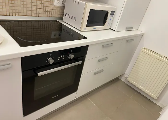 Apartment Butterfly Politehnica *